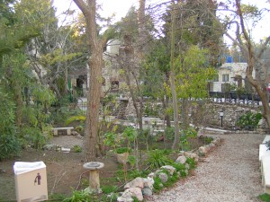 The Garden